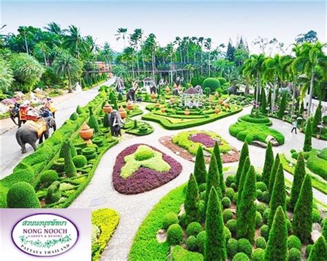 Nong Nooch Tropical Garden Pattaya Thailand Pattaya Show And Ticket