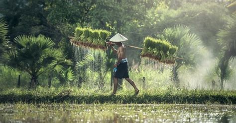 Pemanfaatan kekayaan alam di indonesia. Inilah data statistik hasil Pertanian Indonesia saat ini ...