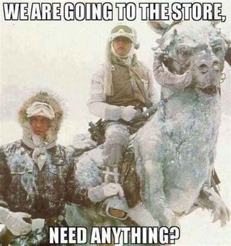 People Kind Of Freak Out When It Snows Funny Pictures Funny Memes