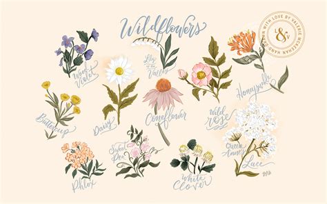 Augusts Wildflowers Desktop Download Lily And Val Living