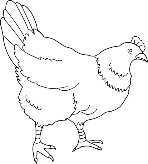 Hen Coloring Page 2 Free Clip Art