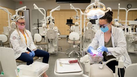 About The College Student Clubs Dental Simulation Lab