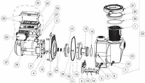 The Anatomy of a Pool Pump