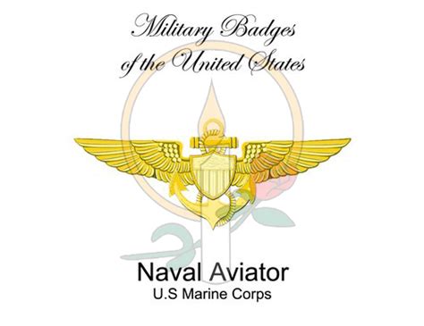 Badge Card Naval Aviator Military Wives Store