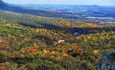 Lehigh Valley fall foliage: 10 best places to see it - The Morning Call