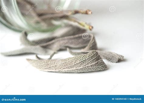 Salvia Officinalis Dried Leaves Falling From Glass Container On White