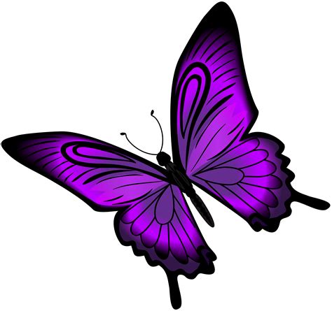 Free Purple Butterfly Clipart 10 Free Cliparts Download Images On
