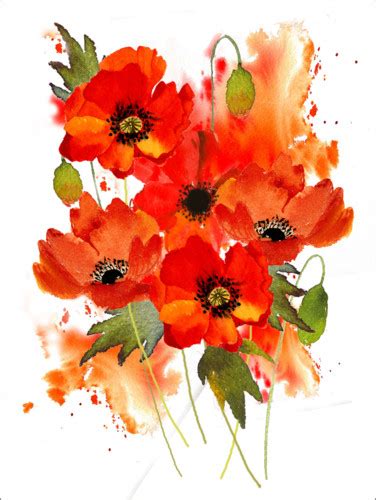 The term was originally a french vernacular name for the wild corn poppy, papaver rhoeas, which is distinguished by its bright red color, and orange tint. Coquelicot Bouquet : 8pcs Bouquet Coquelicot Fleur ...