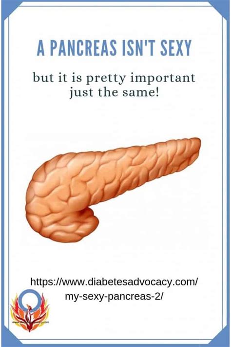 Sexy Pancreas Pin Diabetes Advocacy