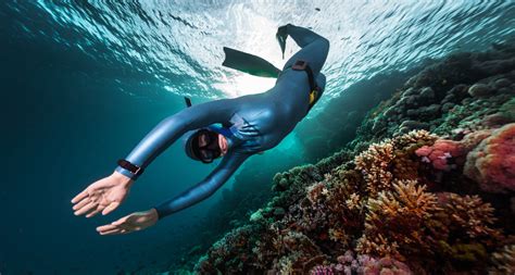 Scuba Diving Snorkeling Skin Diving Freediving Whats The