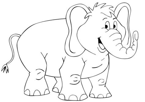 Mewarnai Gambar Gajah Di Kebun Binatang Arsip Radea