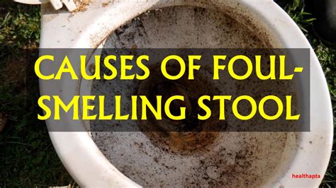Causes Of Foul Smelling Stool Youtube