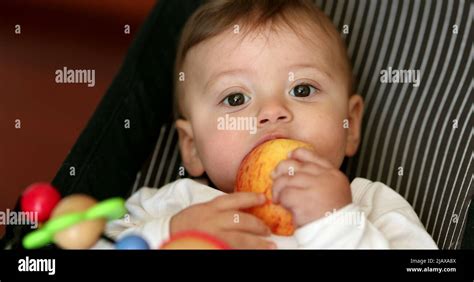 Cute Baby Eating Healthy Snack Infant Child Eats Piece Apple Stock