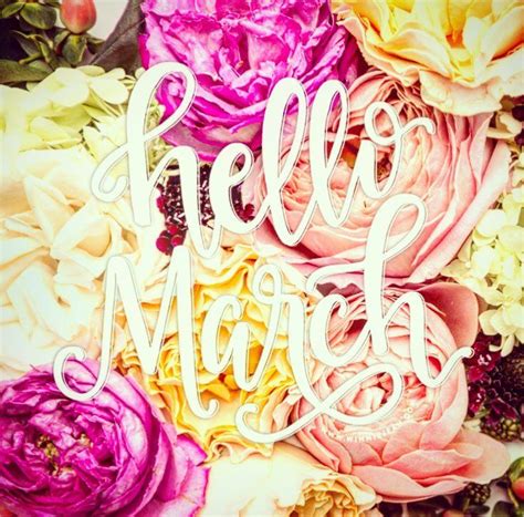 Hello March Spring Is Just Around The Corner 🌸💐🌺🌷🌹🌼 Hello March
