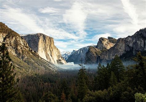One Day Yosemite And Giant Sequoias Tour From San Francisco Yosemite