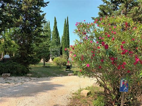 Mas Des Vignes ABC Salles