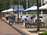 【迪欣湖】欣澳休閒好去處：樹蔭下野餐、單車環遊人工湖 | ReUbird 香港玩樂預約平台