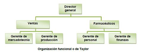Tipos De Estructuras Organizacionales Curso De Administración De Empresas