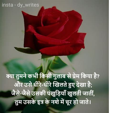 Gulaab Se Prem Hindi Poetry On Love Best Shayari And Quotes