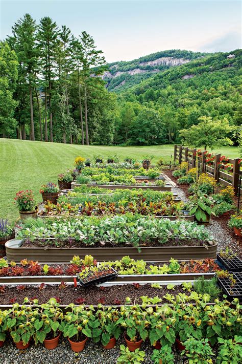 It can be in a balcony of your apartment, or in garden outside your home. How To Keep Your Garden Growing All Summer Long - Southern ...