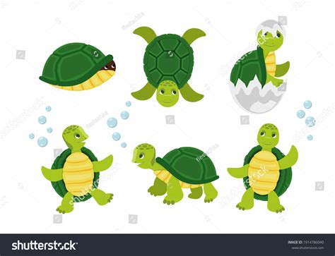 Funny Cartoon Characters Turtles Various Poses Stock Vector Royalty