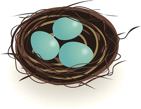 Royalty Free Bird Nest Clip Art Vector Images And Illustrations Istock