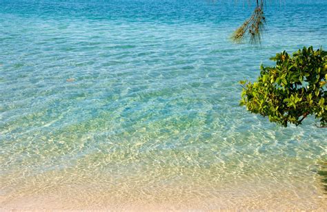 Clear Blue Tropical Water Free Stock Photo Freeimages