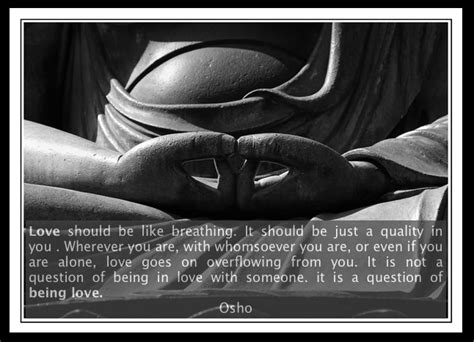 being love osho quotes love best love quotes love is gone all you need is love wise words