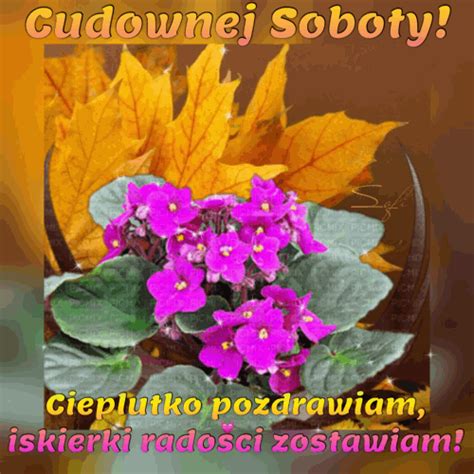 Błyszczące fioletowe kwiaty cudownej soboty - Gify i obrazki na ...