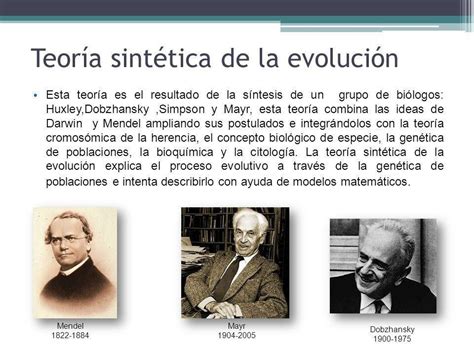 ²² Qué Dice La Teoría Sintética De La Evolución Brainlylat