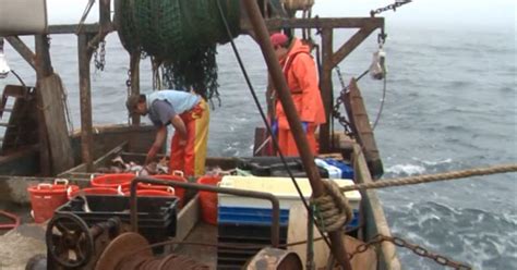 Fishermen Fear Looming Cost Of At Sea Monitors This Summer Cbs Boston