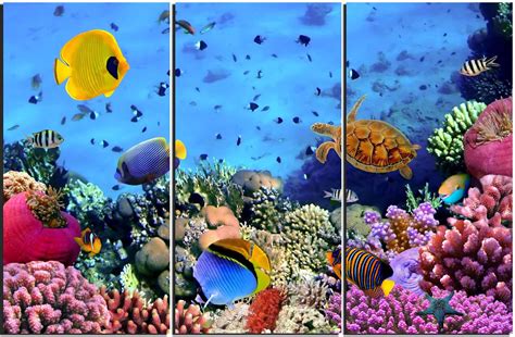 12 Best Aquarium Wall Art Images Info