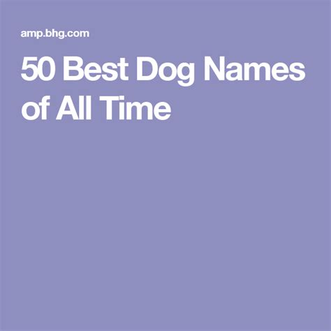 The 50 Best Dog Names Of All Time For Both Females And Males Dog