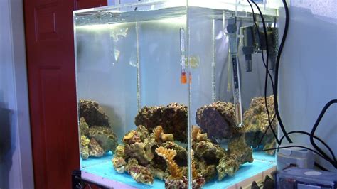 Quarantine Tank Melevs Reef
