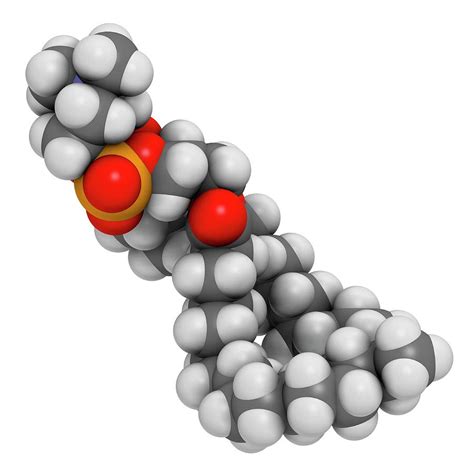 Pulmonary Surfactant Molecule Photograph By Molekuul
