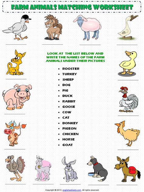 Farm Animals Matching Vocabulary Worksheet 1pdf