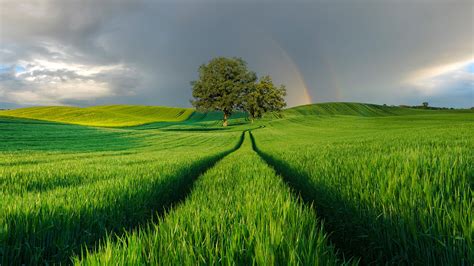 Rainbow Over A Green Field Poland Windows 10 Spotlight Images