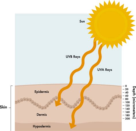 Uv Radiation And Skin Cancer Mission To Mars