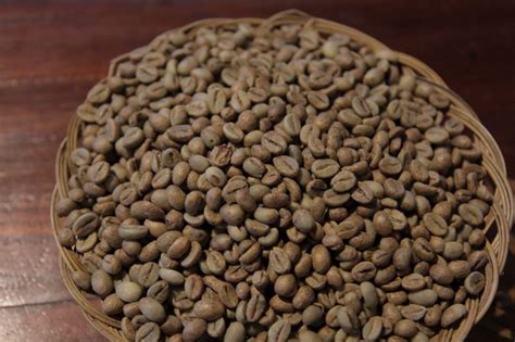 mengenal lebih  jenis kopi robusta berkualitas  indonesia