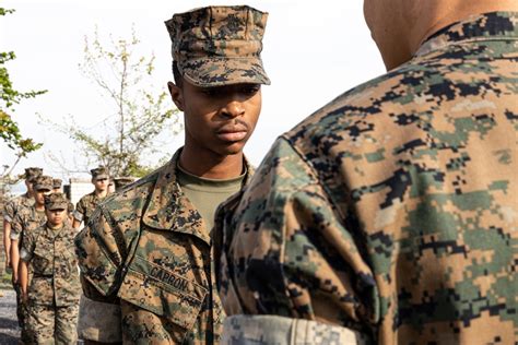 Dvids Images Lance Cpl Fogg And Pfc Capron Promotion Ceremony