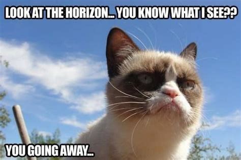 Buh Bye Grumpy Cat Meme Grumpy Cat Grumpy Cat Humor