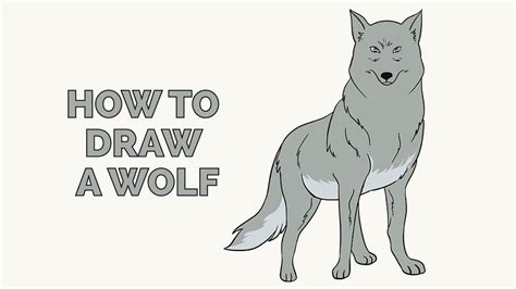 Learn How To Draw A Wolf Easy Step By Step Drawing Tutorial For Kids
