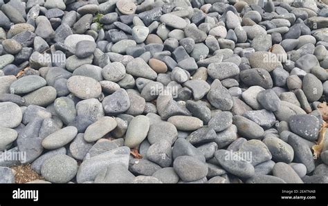 Rock Pebbles Small Rounded Smooth Rocks Texture Background For Text