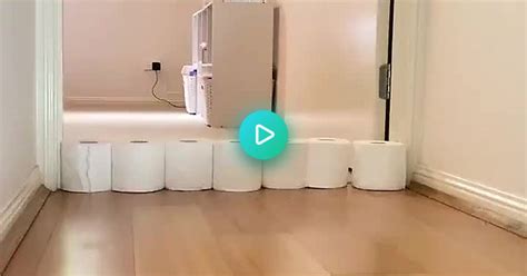 Toilet Paper Olympics Album On Imgur