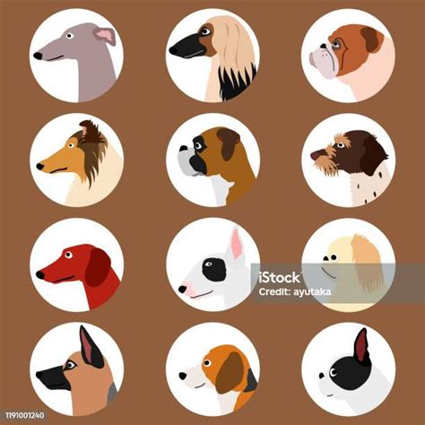Set Of Dog Profiles Stock Illustration Download Image Now Boxer