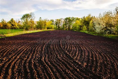 Black Soil Plowed Field Earth Texture Stock Photo Image Of Dirty
