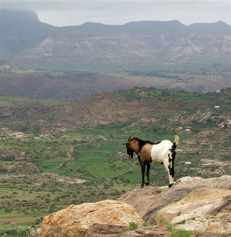 Ethiopian Highlands Mountains Map