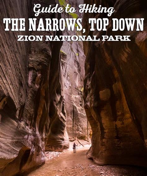 Hiking The Narrows Top Down Ultimate Guide • Zion National Park