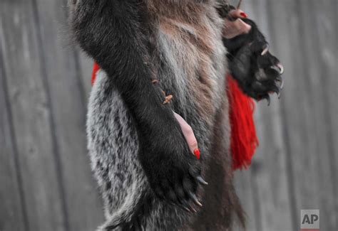 bear dance ritual connects romania with the past — ap photos