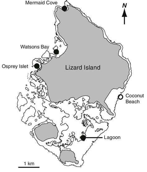 Map Of Lizard Island Indicating The Location Of The Four Sheltered Sites Filled Circles 